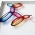 Balloon Dog 5 Painting on Glass