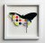 ORIGINAL - Glass Butterfly: Candy 34x34 cm