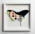 ORIGINAL - Glass Butterfly: Candy 74x74 cm